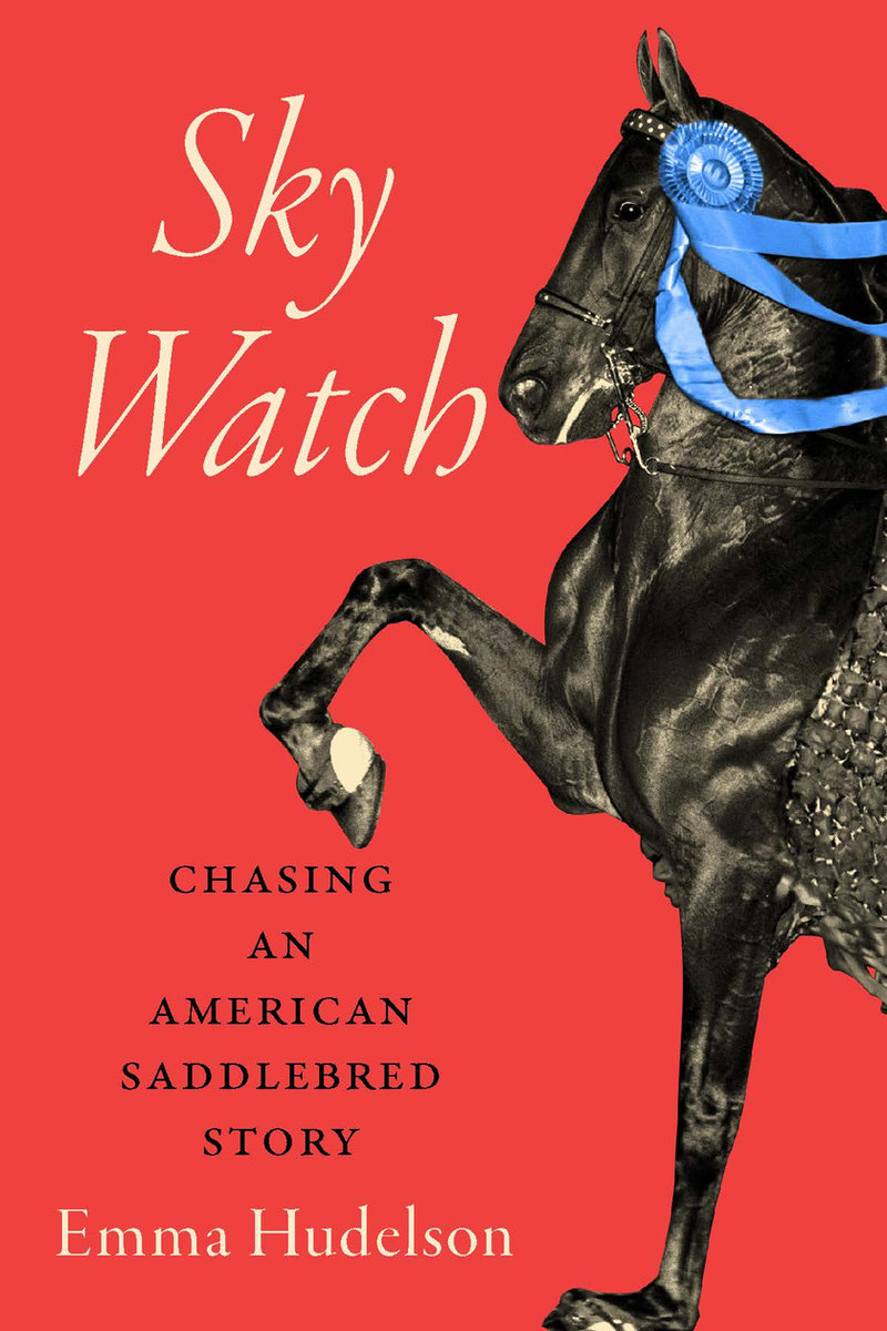 Sky Watch: Chasing an American Saddlebred Story — book cover